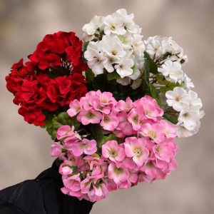 Our Featured Products