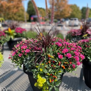 15" Autumn Planter - Growers Choice