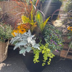 16" Fall Planter product image