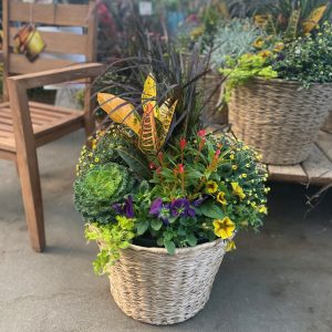 16" Fall Planter in Rattan product image