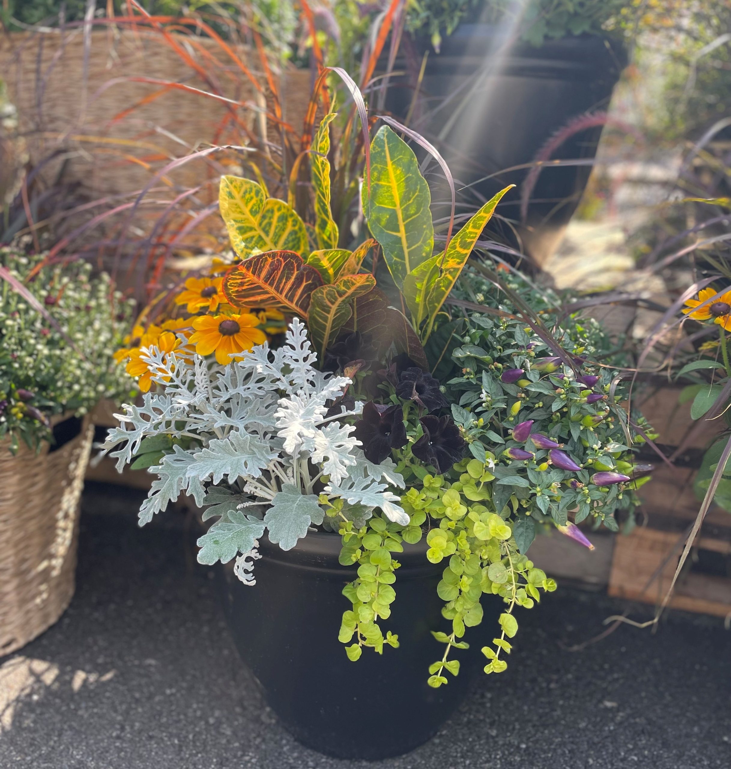 16" Fall Planter product image