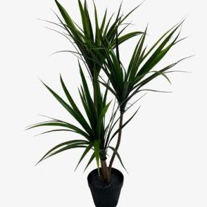 Yucca (Artificial)