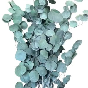 Eucalyptus Round Bouquet