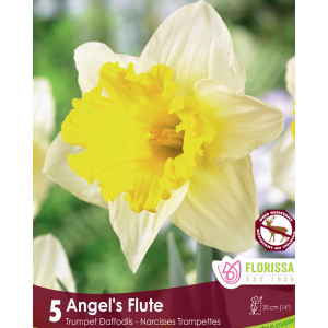Narcissus Angel's Flute (5bulbs/pkg)