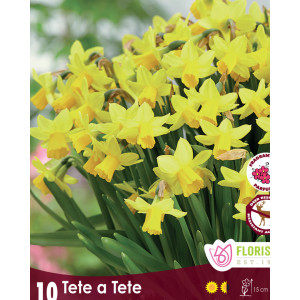 Narcissus Tete a Tete (5bulbs/pkg)