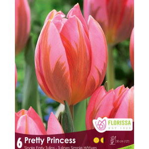 Tulip Pretty Princess (6bulbs/pkg)