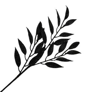 Holiday Decor - Spray  Leaf Black 29" Glitter