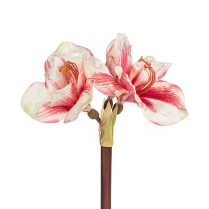Holiday Decor - Amaryllis Stem with 3 Blooms 19" Pink