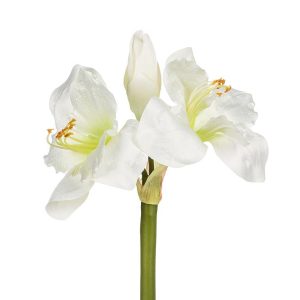 Holiday Decor - Amaryllis Stem with 3 Blooms 19" White
