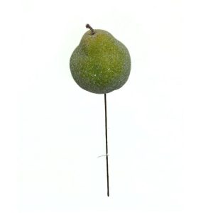 Sugar Pear on pick