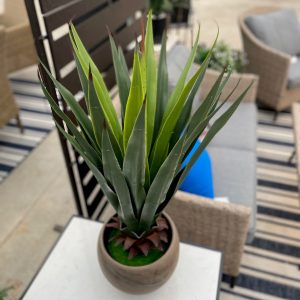 Yucca Large (Artificial)