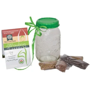 Sprouting Jar with Plastic Lid and Seeds