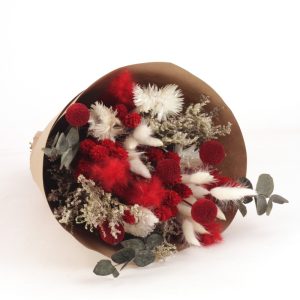 Our Featured Products