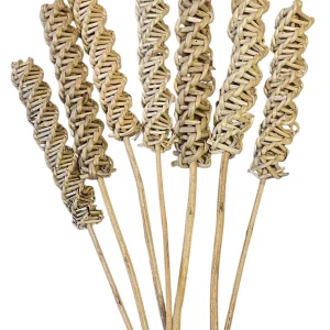 Lata Roller - natural - 7pack