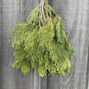 Incense Cedar 1.5lb Bunch