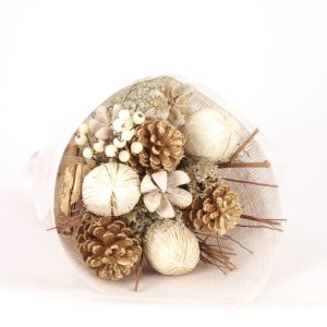 Our Featured Products