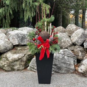 Premium Outdoor Evergreen Arrangement - Berried Birch (15" pot)