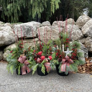 Outdoor Evergreen Arrangement - Berried Treasure Collection