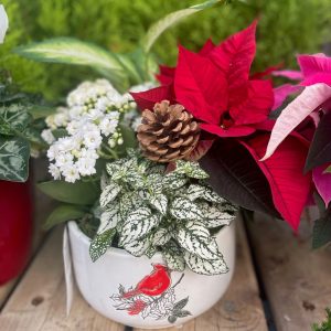 Mary Cardinal Garden Large