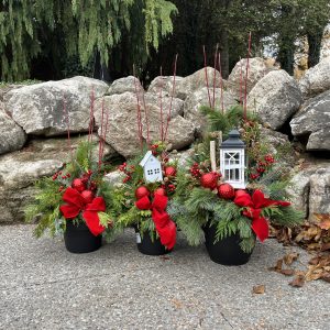 Outdoor Evergreen Arrangement - Cranberry Crush Collection