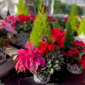 Our Featured Products