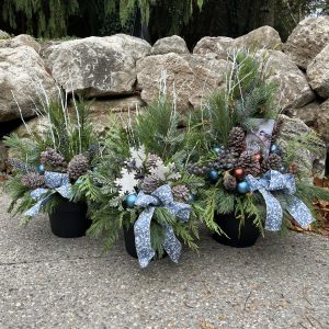 Outdoor Evergreen Arrangement -  Frosted Cedar Collection