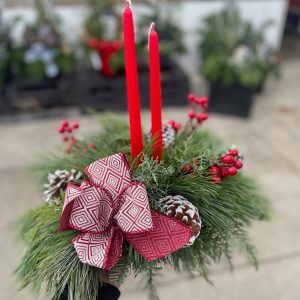 Our Featured Products