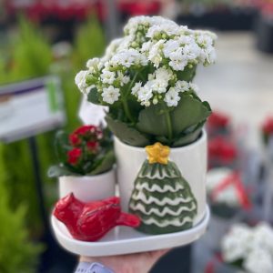 Our Featured Products