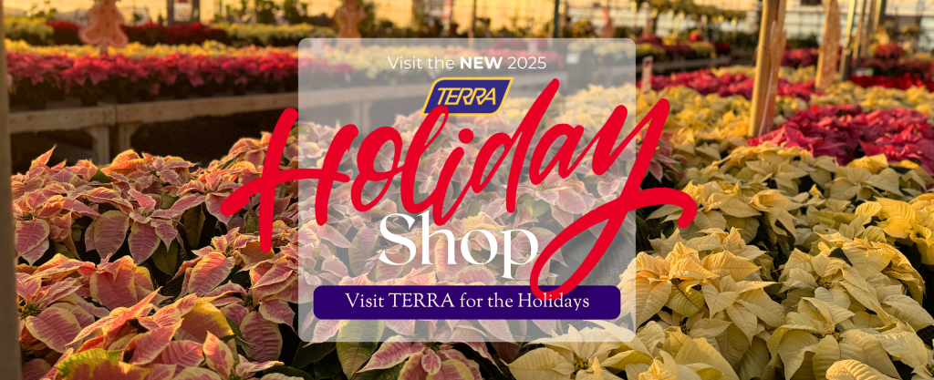 the TERRA holiday shop is stocked with plants, gifts and more