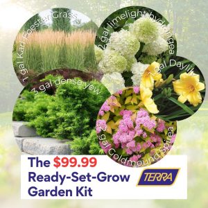 The $99.99 Ready-Set-Grow Garden Kit