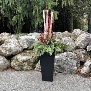 Premium Outdoor Evergreen Arrangement - Uptown Berry (15" pot)