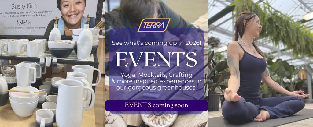 Events and workshops at TERRA Greenhouses locations