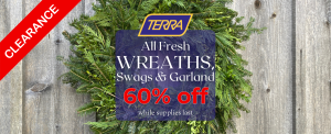 Fresh wreaths, swags and garland on clearance at TERRA.