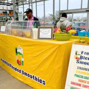 Freshly Blended Smoothies