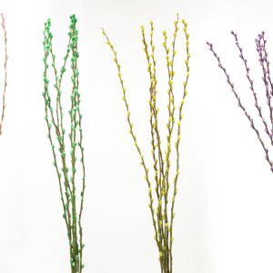 Pussy Willow 36" Spring - Managers pick