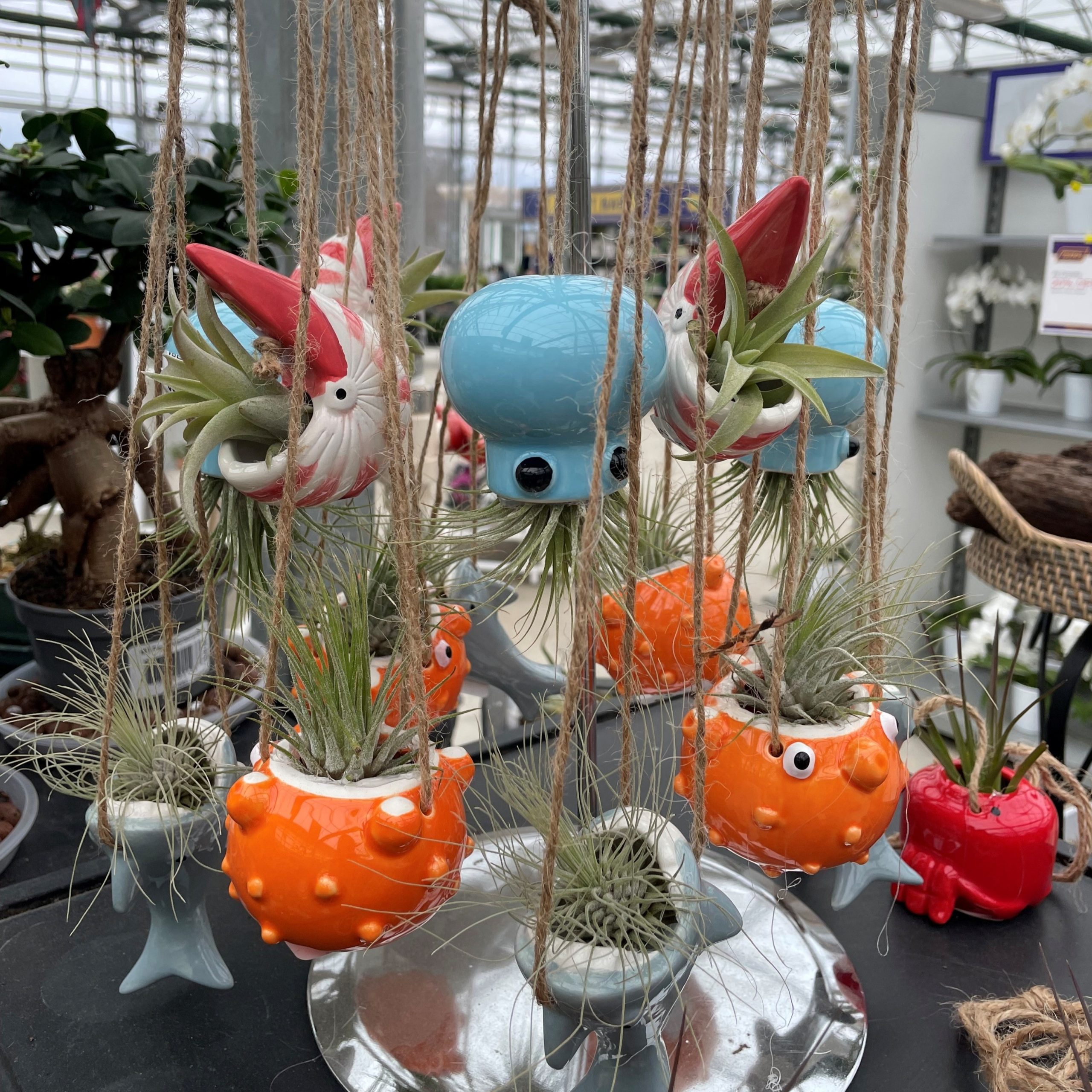 Sea Creature Air Plant Hangers product image