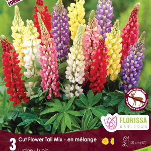 Lupin Tall Mix - 3/pkg
