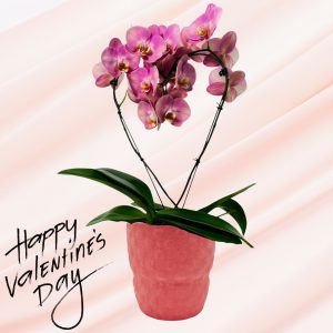Heart-Shaped Orchid in Ceramic Pot (5")