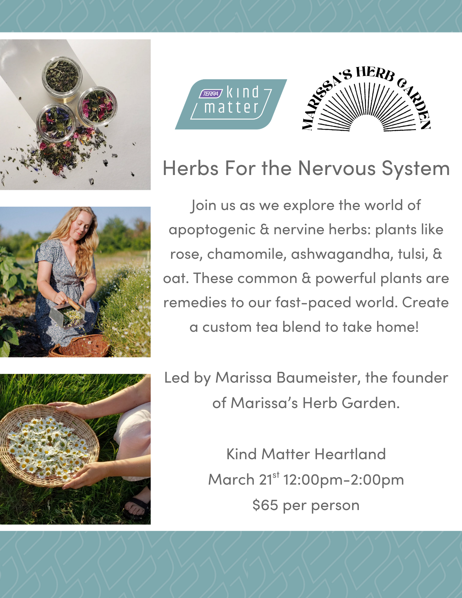 Herbs for the Nervous System Workshop at Kind Matter Heartland