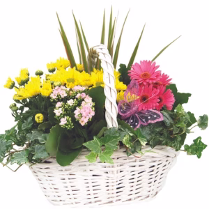 Bouquet Basket Large