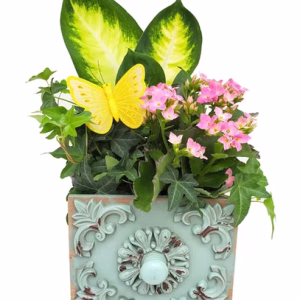 Armoire Drawer Small