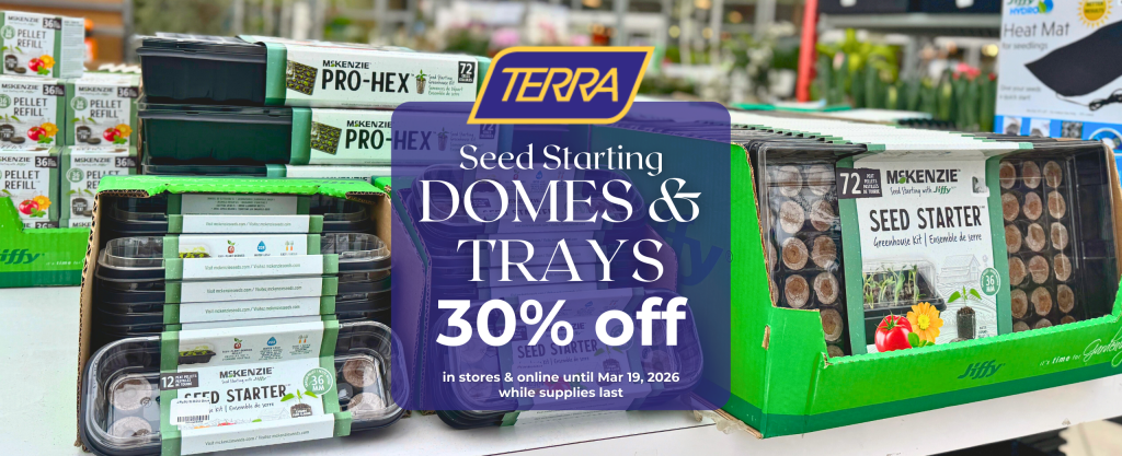 trays and domes for starting seeds on sale at TERRA