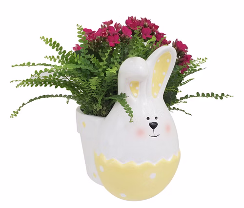 Jelly Bean Bunny Large