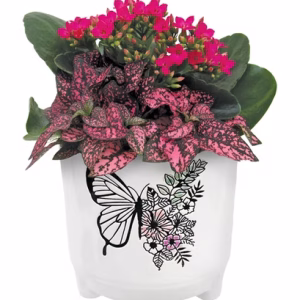 Mariposa Butterfly Ceramic