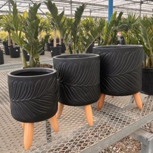 Palm Breeze Planter set product image