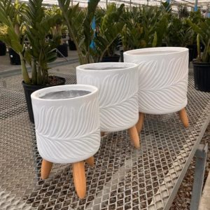 Palm Breeze Planter in White product image