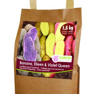 Seed Potato - Combo Sack Fingerling 1.5kg