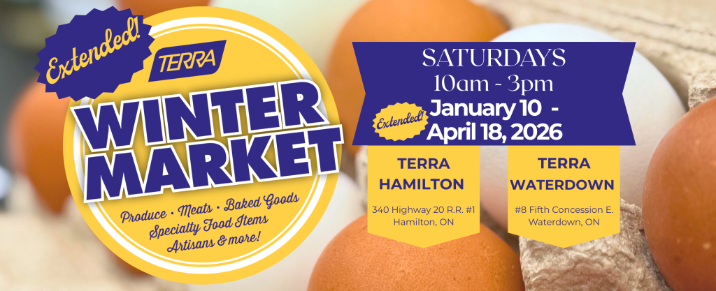 Local eggs in assorted colours at the TERRA Winter Market 2026