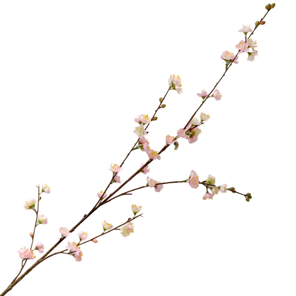 Cherry Blossom 46.5" Pink