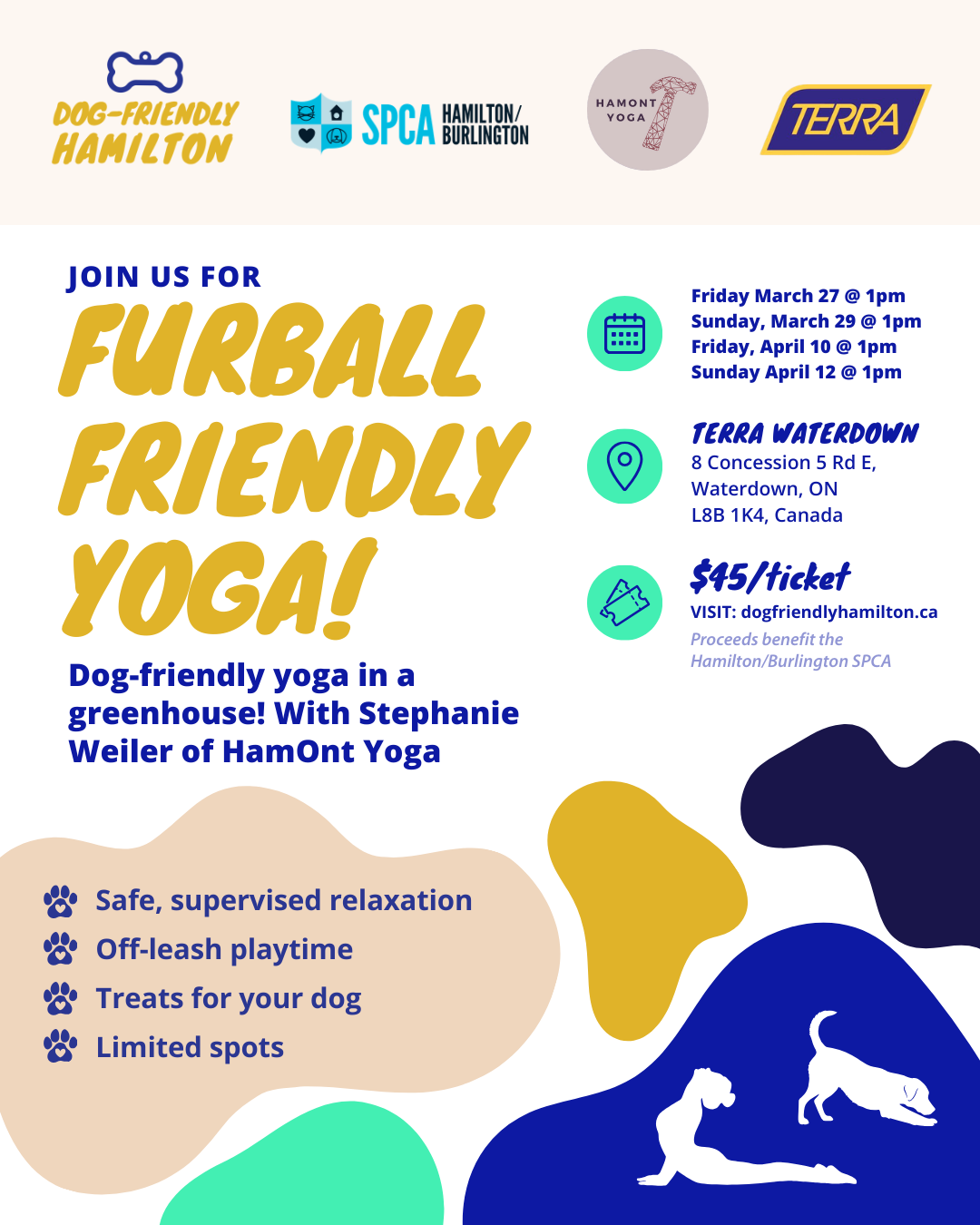 Furball Friendly Yoga at TERRA Waterdown